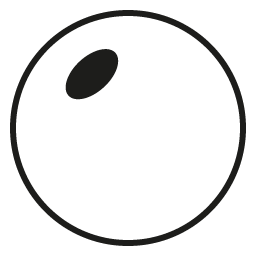 1.90 Index Glass emblem representing the thinnest lens material for strong prescriptions.